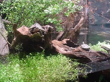 TN Aquarium