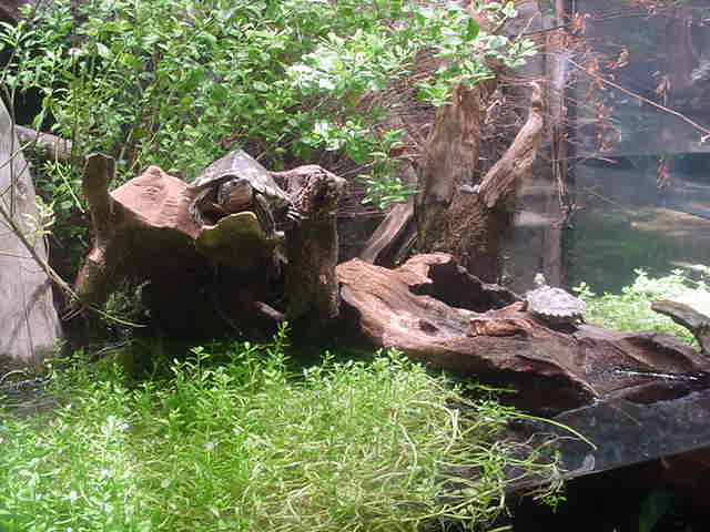 TN Aquarium