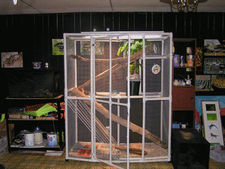Beardies cage