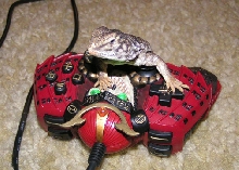 My Uro can play Playstation !