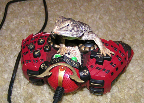 My Uro can play Playstation !