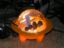 Incubator