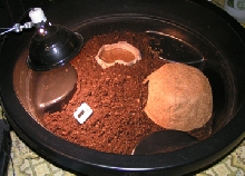 Baby redfoot setup
