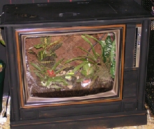 TV Terrarium