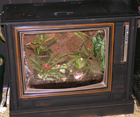 TV Terrarium