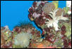 Saltwater Photos