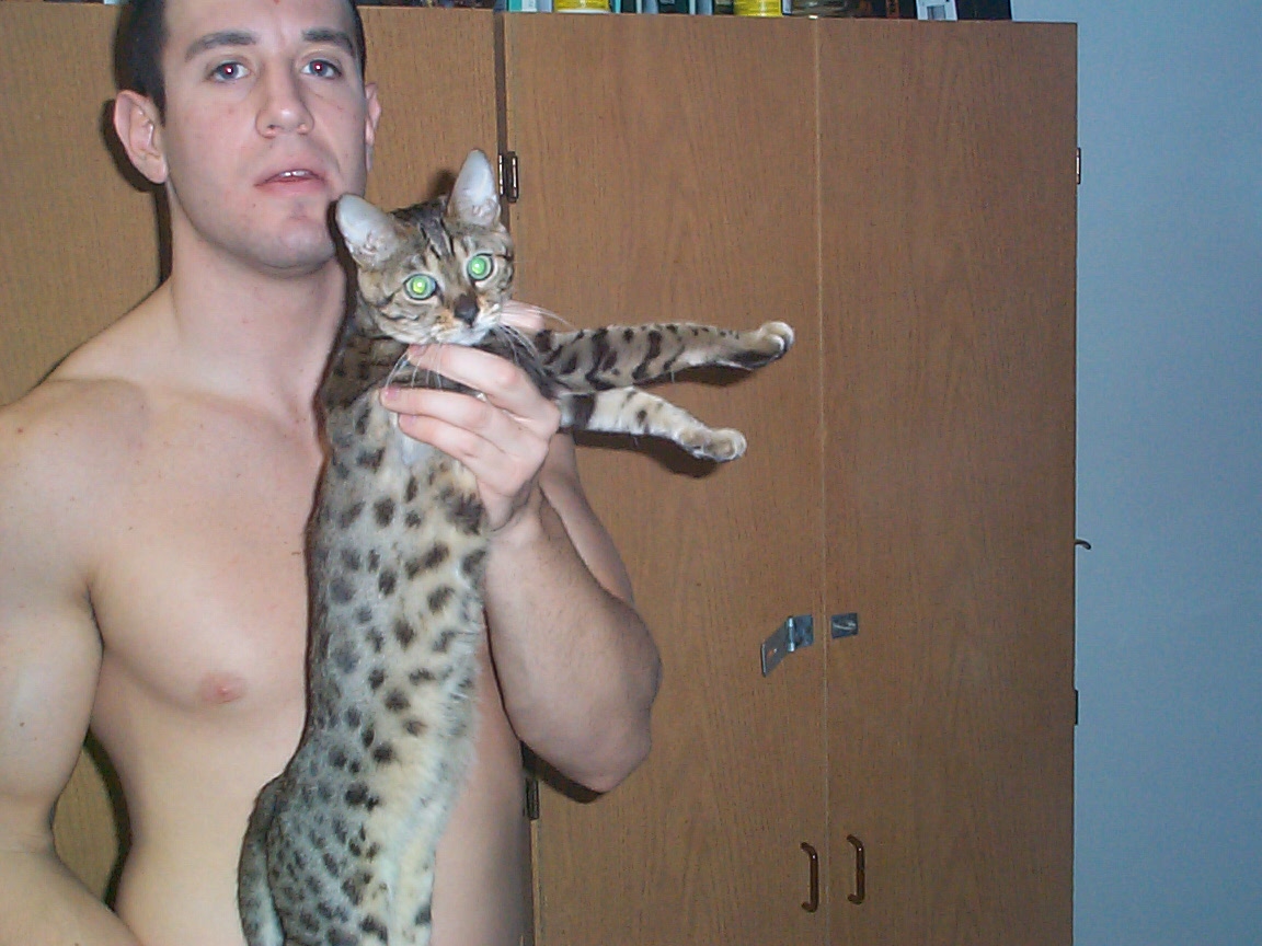 bengal outstanding