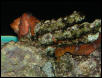 Saltwater Photos