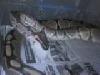 my adult male ball python eating