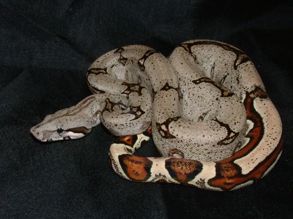 183