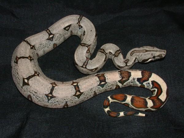 192
