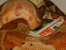 59