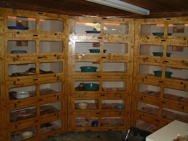 Another group of Boamaster Cages