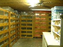 My Boa Breeder cages from Boamaster
