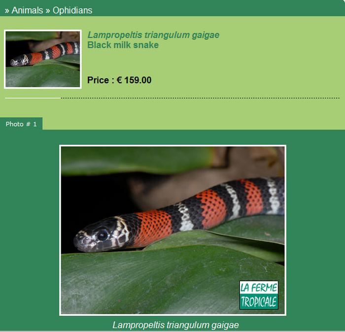 La Ferme Tropicale GAIGEAE