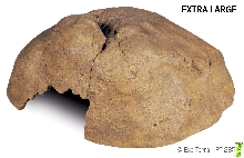 Exoterra Hide