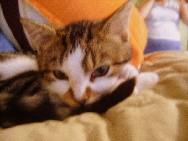 baby arthur