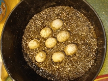 caramel albino red ear eggs