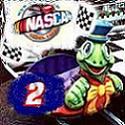 Nascar Turtle