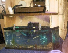 tank