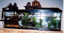 Annettes Setup