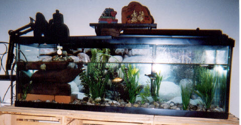 Annettes Setup