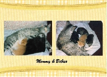 Mama Lucy