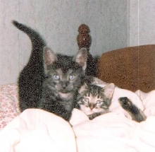 Scottie and Little Sis Tessa