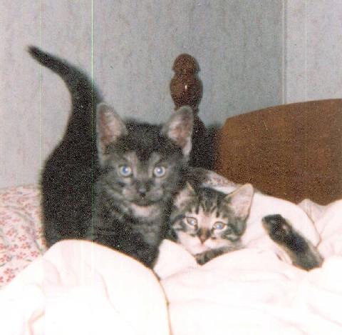 Scottie and Little Sis Tessa