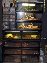 Custom Caging