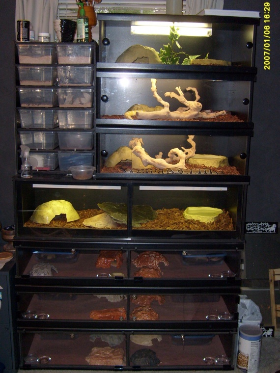 Custom Caging