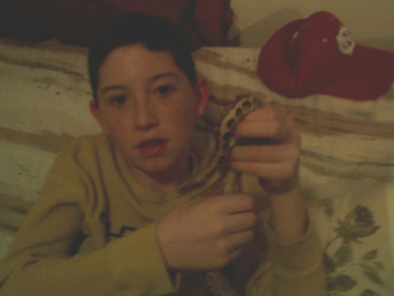 cam and blood