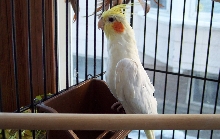 my buddy