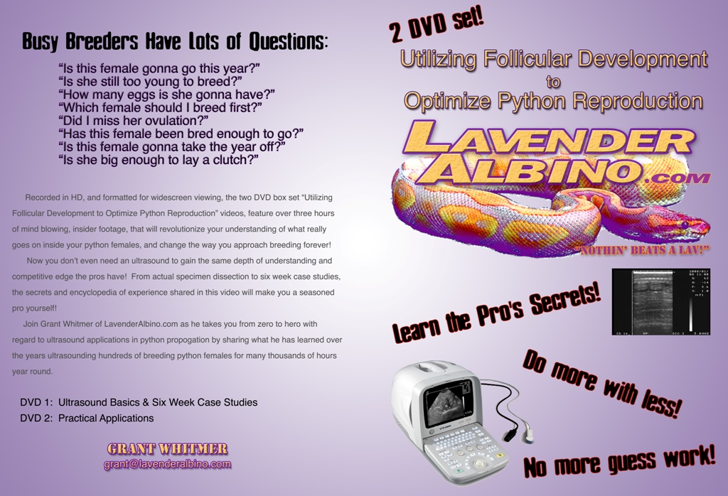 DVD Case 1