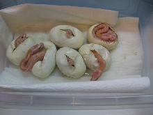 lavhatchling4