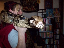 45 lb redtail boa