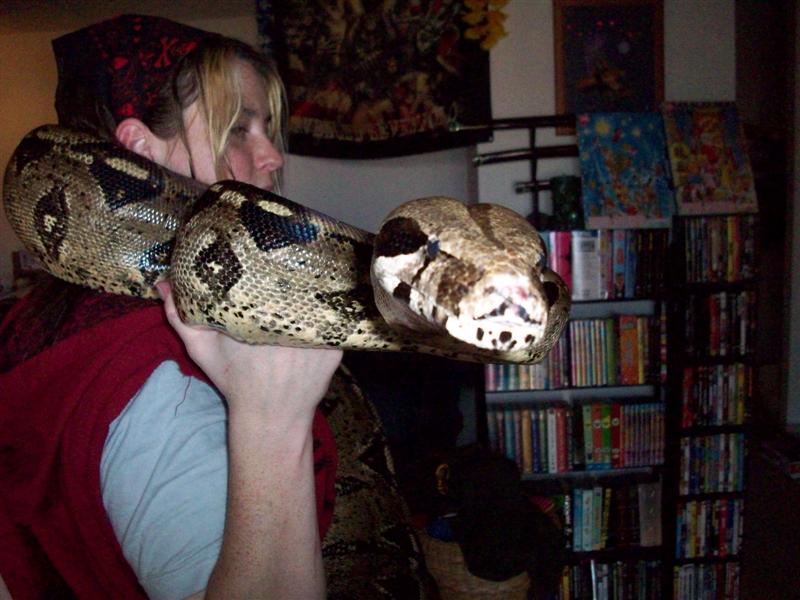 45 lb redtail boa