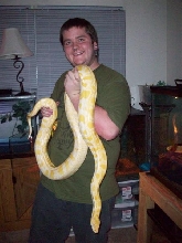 albino burmese and me