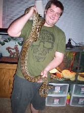 African Rock Python