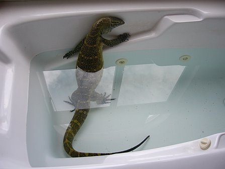 taking a Jacuzzi
