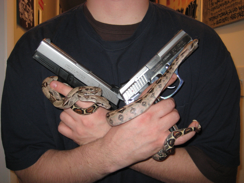 guns and boas