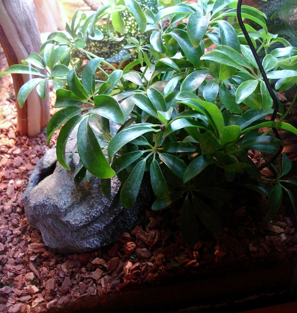 Enclosure Final - Right Side