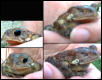One eyed toad copy