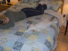 teddie and mommacat napin