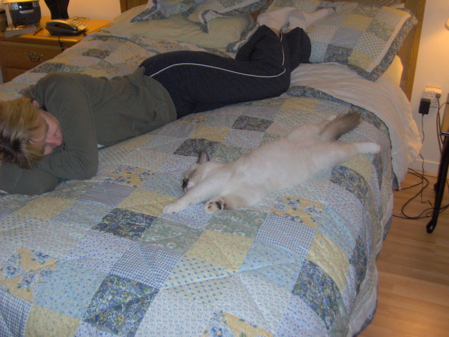 teddie and mommacat napin