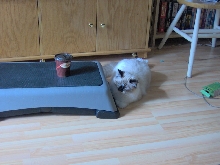 who put that coffee there