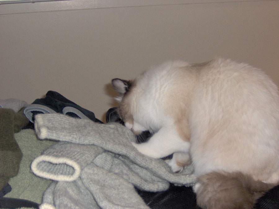 unpacking the suitcase