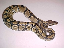 overall view