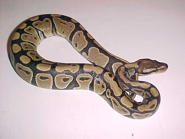 overall view