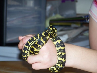 when she was younger.